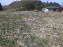 【福島県/西白河郡西郷村大字小田倉】福島県西白河郡西郷村　土地 現地