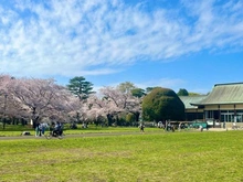 【東京都/小金井市貫井北町】小金井市貫井北町三丁目土地 都立小金井公園（現地より約1,100m）