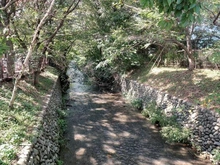 【東京都/立川市砂川町】立川市砂川町6丁目　古家付売地 玉川上水（現地より約180m）：