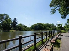 【東京都/杉並区善福寺】杉並区善福寺2丁目　土地　B棟 善福寺公園（現地より約450m）