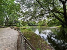 【東京都/杉並区清水】杉並区清水2丁目　土地 妙正寺公園（現地より約380m）
