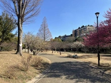 【東京都/杉並区桃井】杉並区桃井4丁目　土地 桃井原っぱ公園（現地より約270m）