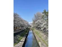 【東京都/杉並区成田東】杉並区成田東2丁目土地　A区画 杉並区善福寺川緑地（現地より約270m）：※写真は春の季節に撮影したものです。