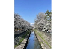 【東京都/杉並区成田東】杉並区成田東2丁目　土地  杉並区善福寺川緑地（現地より約270m）：※写真は春の季節に撮影したものです。