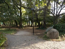 【東京都/杉並区宮前】杉並区宮前3丁目　土地（建築条件付き） 宮前公園.（現地より約700m）