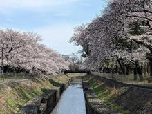 【東京都/杉並区成田東】杉並区成田東5丁目　土地 善福寺川緑地（現地より約500m）
