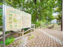 【東京都/練馬区貫井】練馬区貫井4丁目【土地】 練馬区立ぬくいの森緑地（現地より約100m）