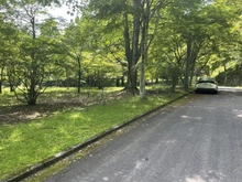 【群馬県/甘楽郡下仁田町大字西野牧】群馬県甘楽郡下仁田町　売地 現地