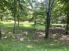 【群馬県/甘楽郡下仁田町大字西野牧】群馬県甘楽郡下仁田町　売地 現地