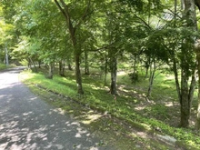 【群馬県/甘楽郡下仁田町大字西野牧】群馬県甘楽郡下仁田町　売地 現地
