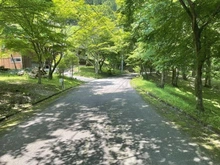 【群馬県/甘楽郡下仁田町大字西野牧】群馬県甘楽郡下仁田町　売地 前面道路