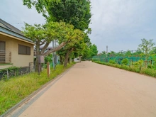 【東京都/世田谷区松原】世田谷区松原6丁目　売地 前面道路