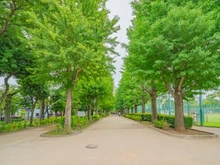【東京都/世田谷区松原】世田谷区松原6丁目　売地 前面道路