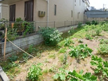 【東京都/品川区小山】品川区小山二丁目売地 現地