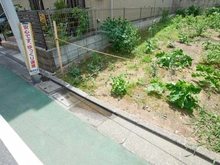 【東京都/品川区小山】品川区小山二丁目売地 現地