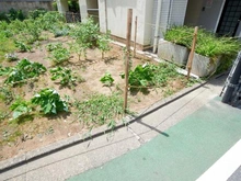 【東京都/品川区小山】品川区小山二丁目売地 現地