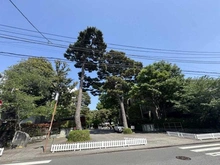 【東京都/世田谷区成城】世田谷区成城7丁目　条件付売地  成城大学（現地より約800m）