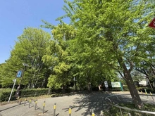 【東京都/世田谷区成城】世田谷区成城7丁目 売地 都立祖師谷公園(現地より約930m):
