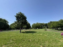 【東京都/世田谷区成城】世田谷区成城7丁目 売地 みんなの森(現地より約360m):