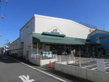 【東京都/大田区大森東】大田区大森東5丁目　土地 マルエツ大森東店（現地より約305m）