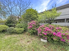 【神奈川県/茅ヶ崎市幸町】茅ヶ崎市幸町　土地 現地（古家あり）