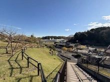 【神奈川県/横浜市緑区新治町】緑区新治町　売地 新治里山公園（現地より約385m）