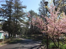 【神奈川県/横浜市青葉区藤が丘】青葉区藤が丘2丁目　売地 藤が丘公園（現地より約10m）：