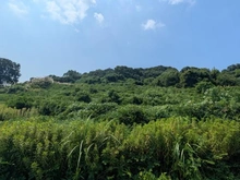 【兵庫県/淡路市岩屋】淡路市岩屋字田ノ代 土地 現地