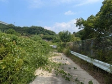 【兵庫県/淡路市岩屋】淡路市岩屋字田ノ代 土地 前面道路：東側
