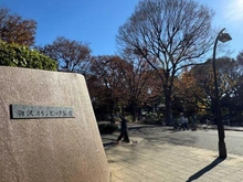 【東京都/世田谷区新町】世田谷区新町1丁目 駒沢オリンピック公園（現地より約950m）