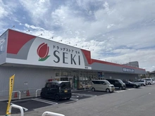 【埼玉県/蓮田市馬込】蓮田市馬込5丁目　土地 ドラッグストアセキ蓮田店（現地より約350m）