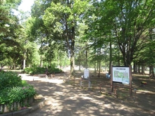 【東京都/武蔵村山市大南】武蔵村山市大南3丁目　売地 大南公園（現地より約630m）