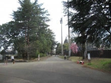 【東京都/昭島市玉川町】昭島市玉川町5丁目　売地 昭和公園（現地より約680m）：