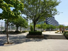 【大阪府/大阪市天王寺区真法院町】大阪市天王寺区真法院町（古家付土地） 五条公園（現地より約100m）