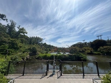 【神奈川県/横浜市旭区柏町】旭区柏町　古家付き土地 こども自然公園（現地より約700m）：