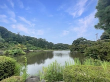 【神奈川県/横浜市旭区万騎が原】旭区万騎が原　土地 大池（現地より約340m）