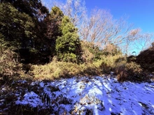 【埼玉県/所沢市大字上山口】所沢市大字上山口　土地 現地