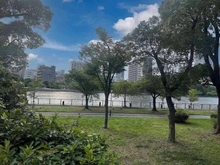 【大阪府/大阪市都島区網島町】大阪市都島区網島町 土地 