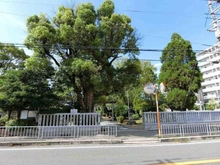 【大阪府/茨木市稲葉町】茨木市稲葉町 土地 