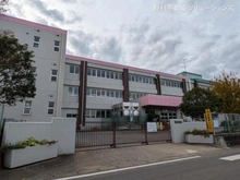 【千葉県/柏市花野井】柏市花野井 土地 周辺施設