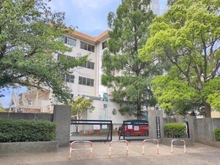 【千葉県/松戸市河原塚】松戸市河原塚 土地 周辺施設