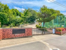 【千葉県/松戸市河原塚】松戸市河原塚 土地 周辺施設
