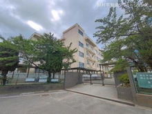 【千葉県/市川市新井】市川市新井1丁目 土地 周辺施設