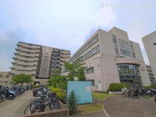 【神奈川県/川崎市中原区市ノ坪】川崎市中原区市ノ坪 土地 周辺施設