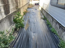 【埼玉県/さいたま市浦和区岸町】さいたま市浦和区岸町6丁目 現地