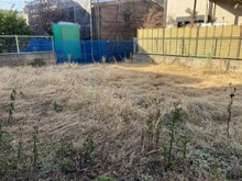 【埼玉県/さいたま市南区南本町】さいたま市南区南本町2丁目　建築条件付　売地 現地