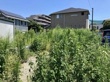 【埼玉県/さいたま市浦和区前地】さいたま市浦和区前地1丁目　土地 現地
