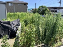 【埼玉県/さいたま市浦和区前地】さいたま市浦和区前地1丁目　土地 現地