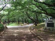 【東京都/北区西ケ原】東京都北区西ヶ原　売地 飛鳥山公園（現地より約450m）