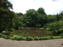 【東京都/北区西ケ原】東京都北区西ヶ原　売地 旧古河庭園（現地より約600m）